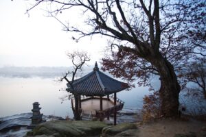 SBI証券の新NISAキャンペーン内容はどのようになっているのか？