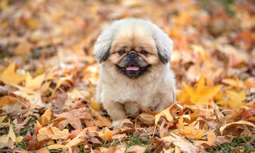 はじめての投信で少額から始める投資入門とは？