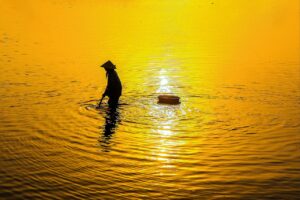 新NISAの制度内容を他の投資制度と比較するポイントは？