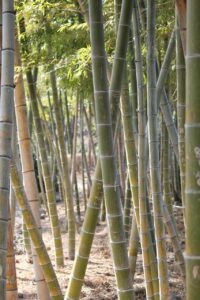 暗号資産と積立NISAのメリット比較でどちらがお得か？