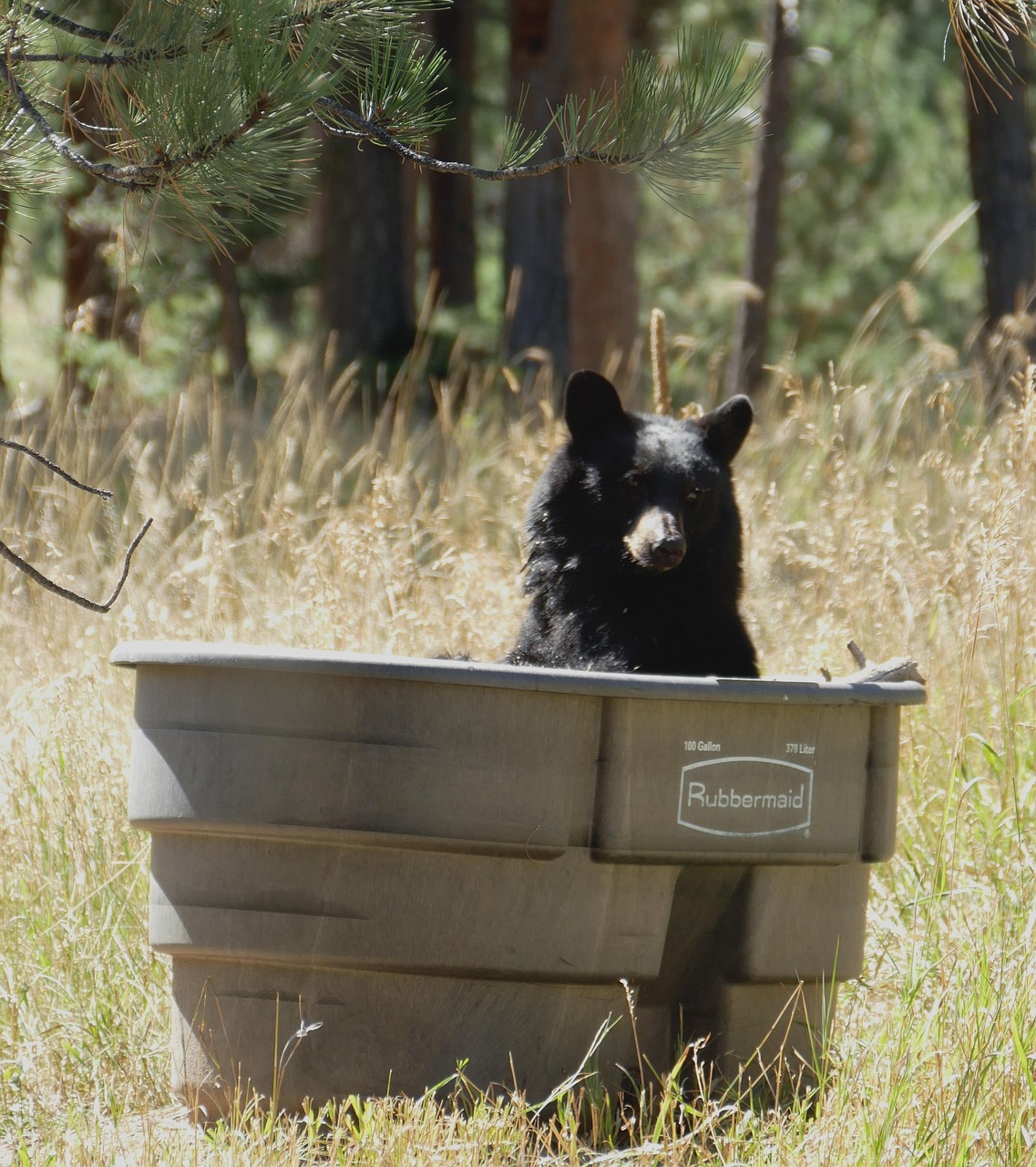 楽天ポイントをNISAで投資する際の交換方法は？