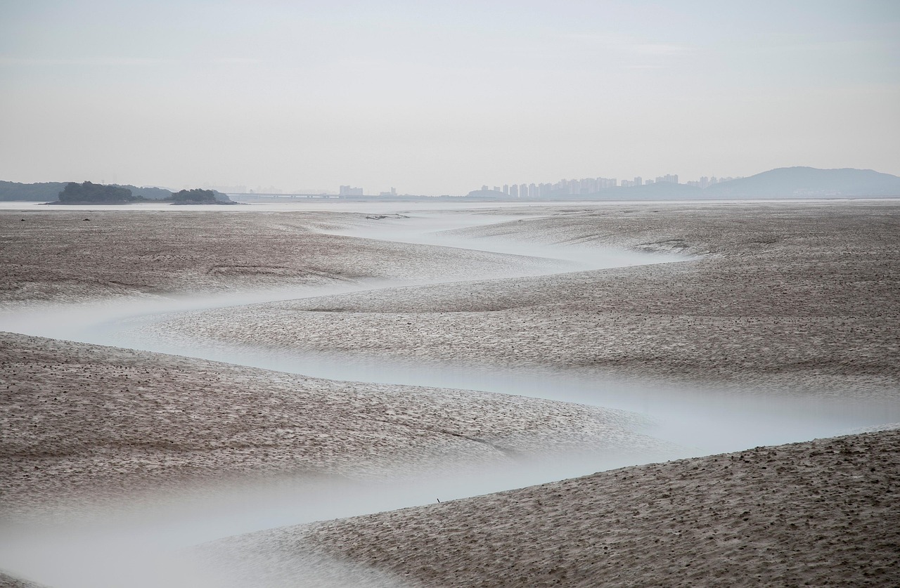 楽天銀行とNISAを連携させるマネーブリッジの使い方とは？