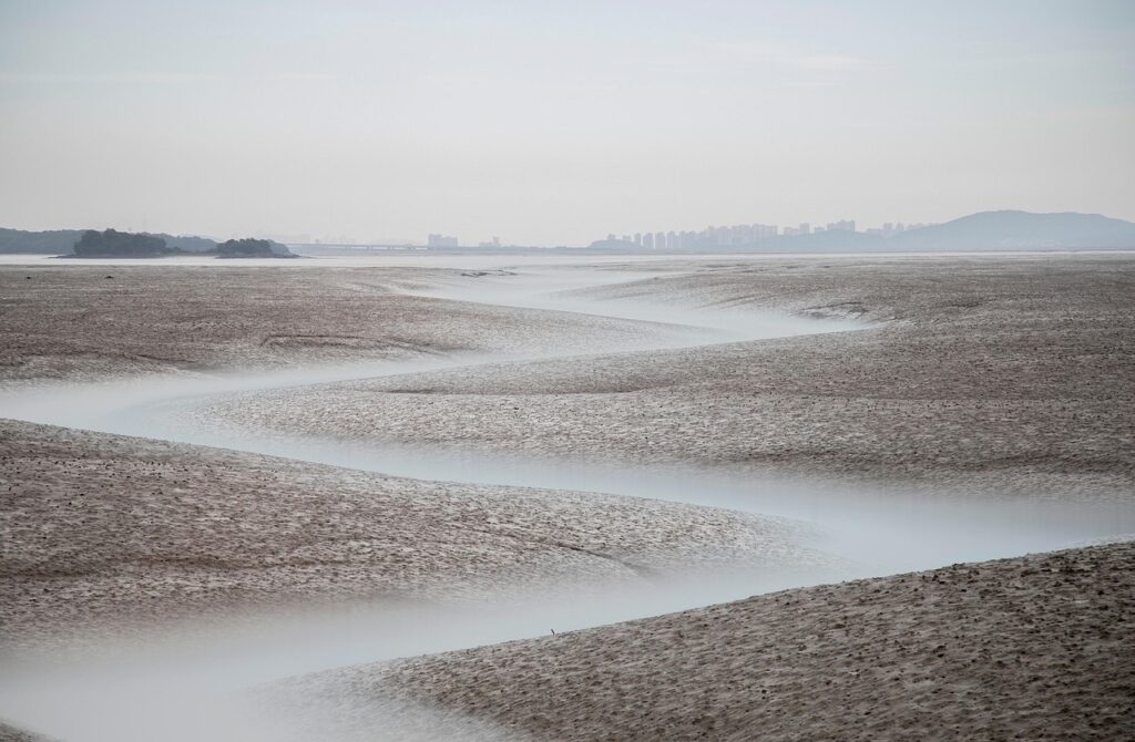 楽天銀行とNISA連携のマネーブリッジの使い方は？