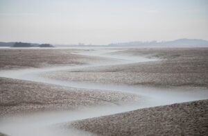 楽天銀行とNISA連携のマネーブリッジの使い方は？