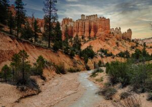 積立NISAと一般NISAの違いを比較すると何がわかる？