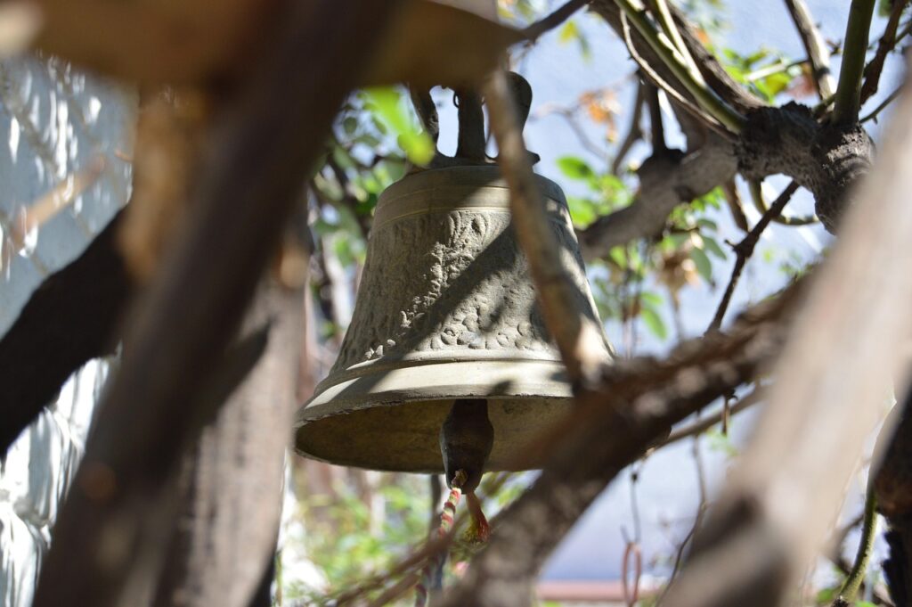 新NISAのキャンペーンはSBIでお得に利用できる方法は？