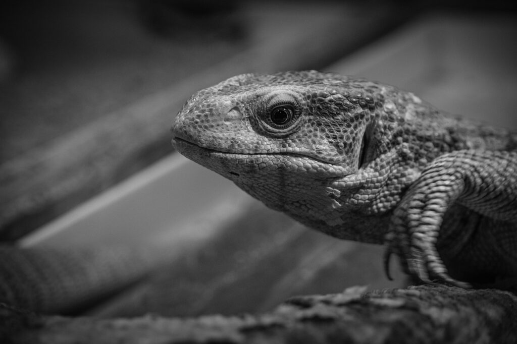 兼業主婦がNISAを活用して得られるポイントは？