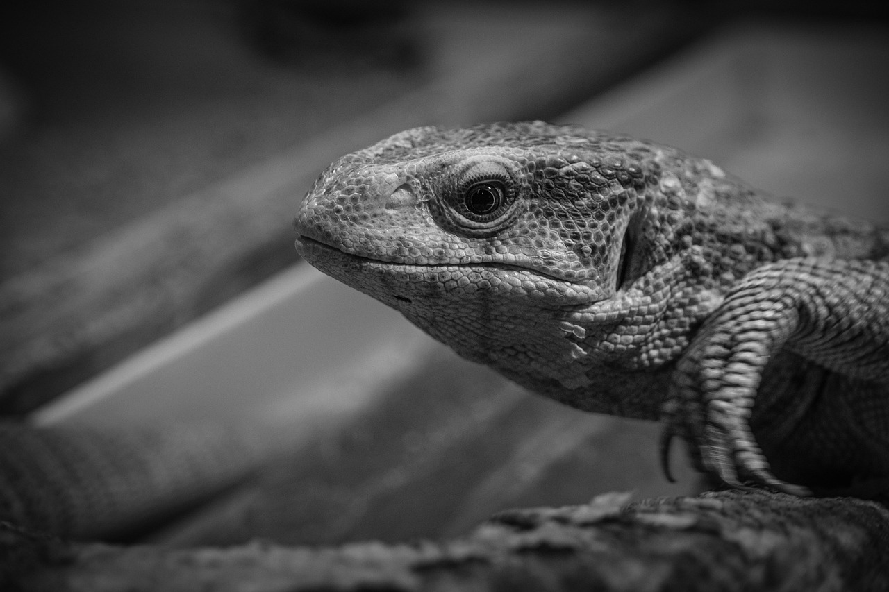 兼業主婦がNISAを活用して得られるポイントは？