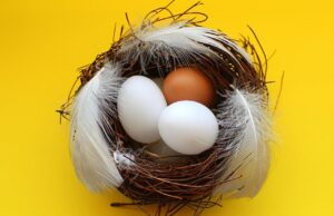 兼業主婦がiDeCoを比較する際のポイントは？