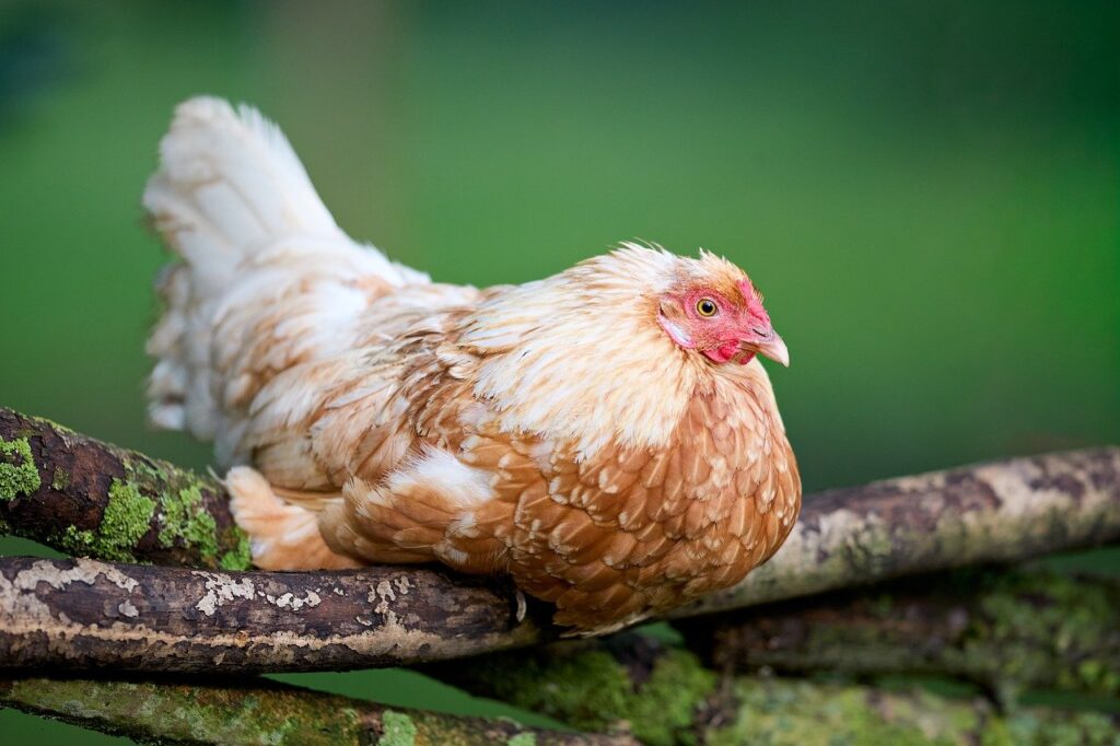 NISAの含み損は放置すべきか、それとも対策を講じるべきか？