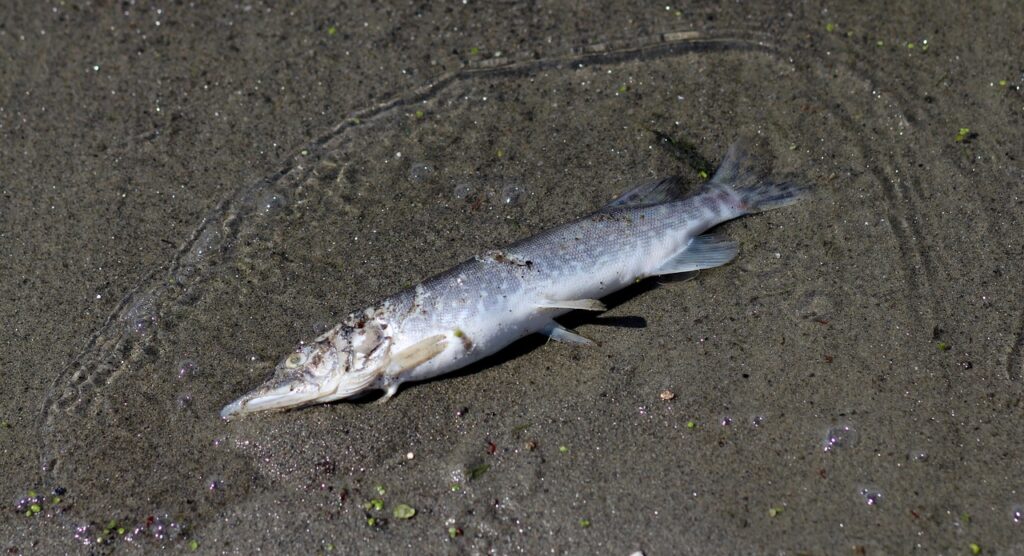 NISAの期限後に移管する際の注意点は？